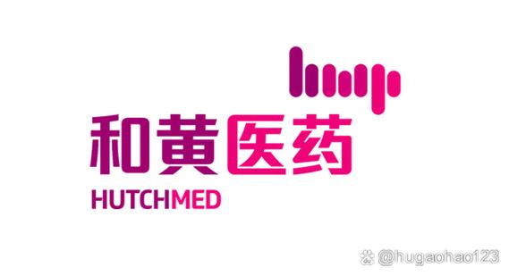 深度分析和黄医药在中国医药领域的投资价值